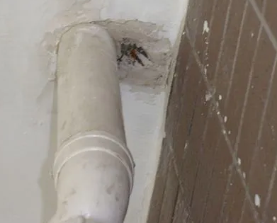 代县漏水检测哪家好